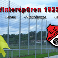 Ballfangzaun statt Ballfangauto
