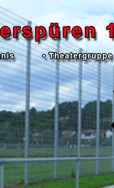 Ballfangzaun statt Ballfangauto