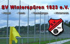 Ballfangzaun statt Ballfangauto