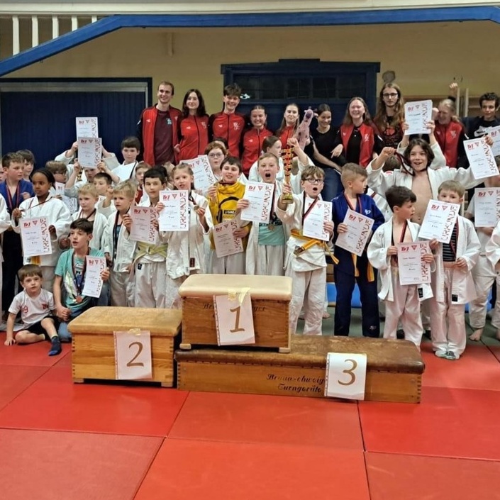 Judomatten für Judo im TKJ Sarstedt