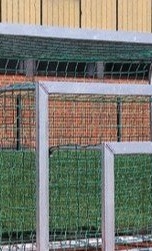 Unsere Jugend schießt Tore!