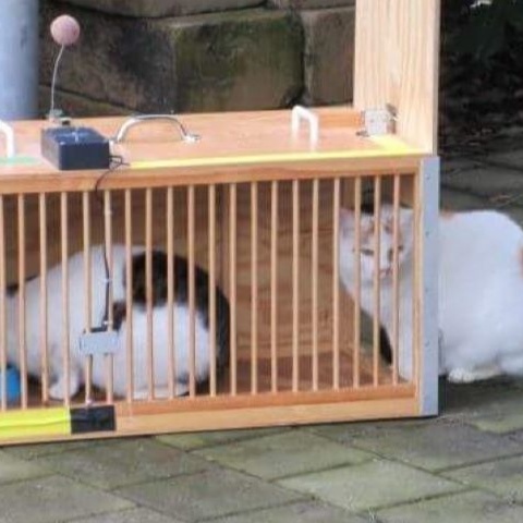 Ausrüstung für Katzen-Kastrationsaktionen