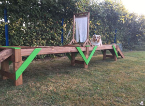 Hundegerätebrücken für die Hunde im Tierheim HS