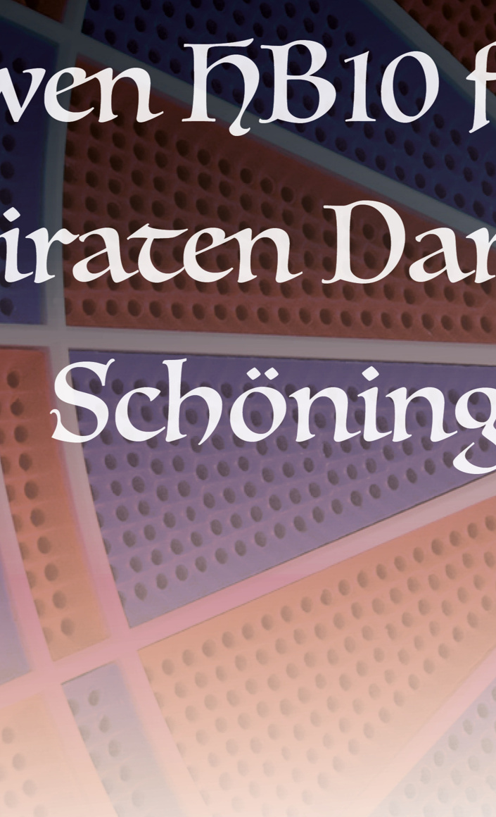Neue Dartautomaten für den Piraten Dart Club Schöningen