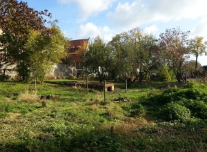 Der STATTGarten für Schüler der Stadtschule und Bürger von Alsfeld