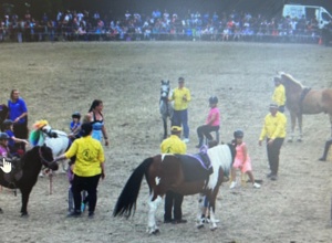 42.Ponyshow