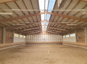 Instandsetzung der Außenanlage des APSV