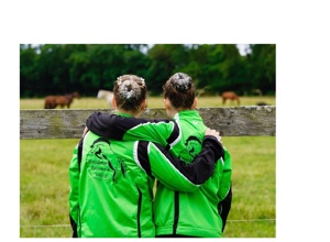 Lehrmeister auf vier Hufen