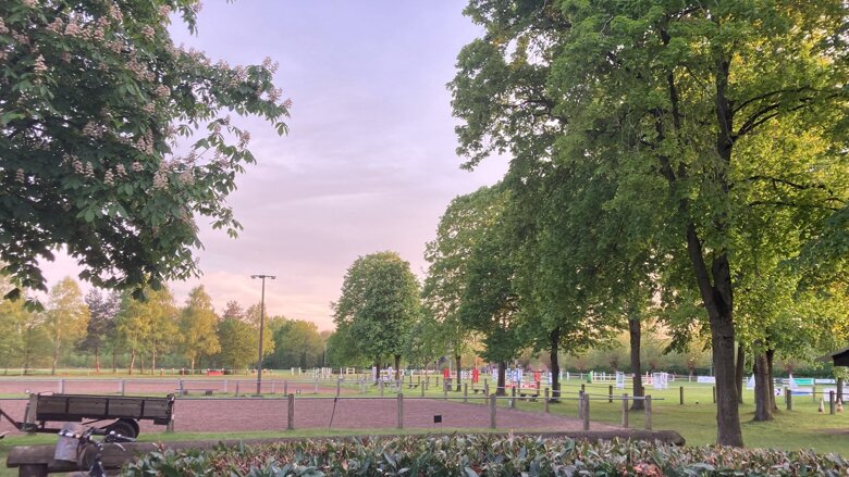 Große Ansicht vom Video