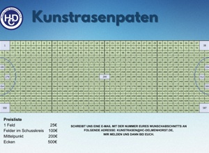 Hockeyclub Delmenhorst : Modernisierung Kunstrasen und  Flutlicht