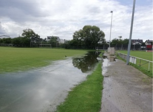 Aus Rot wird Grün - Projekt "Kunstrasenplatz" beim VSV Büchig