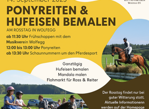 Erhalt und Pflege unserer Reithalle - Ihre Hilfe zählt