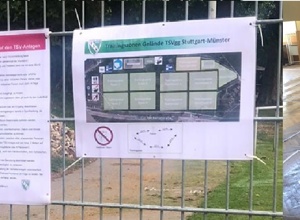 TSV Stuttgart Münster hält zusammen