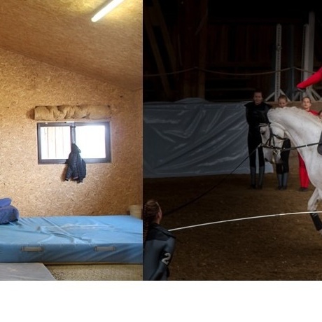Galoppierendes Holzpferd Dolly Jumper