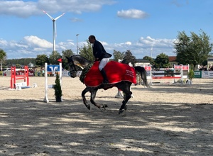 Ebbe-Flut-Reitplatz Reit- und Fahrverein Buchen (Training und Turnier)