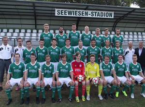 Gepflegter Rasen & neue Tore