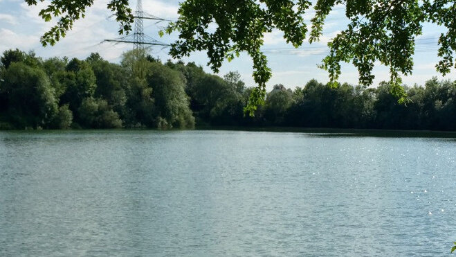 Große Ansicht vom Video