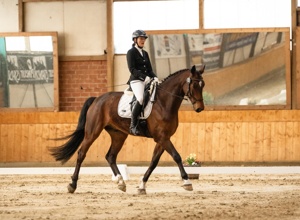 Neuanschaffung Dressurviereck und Trainingsparcours