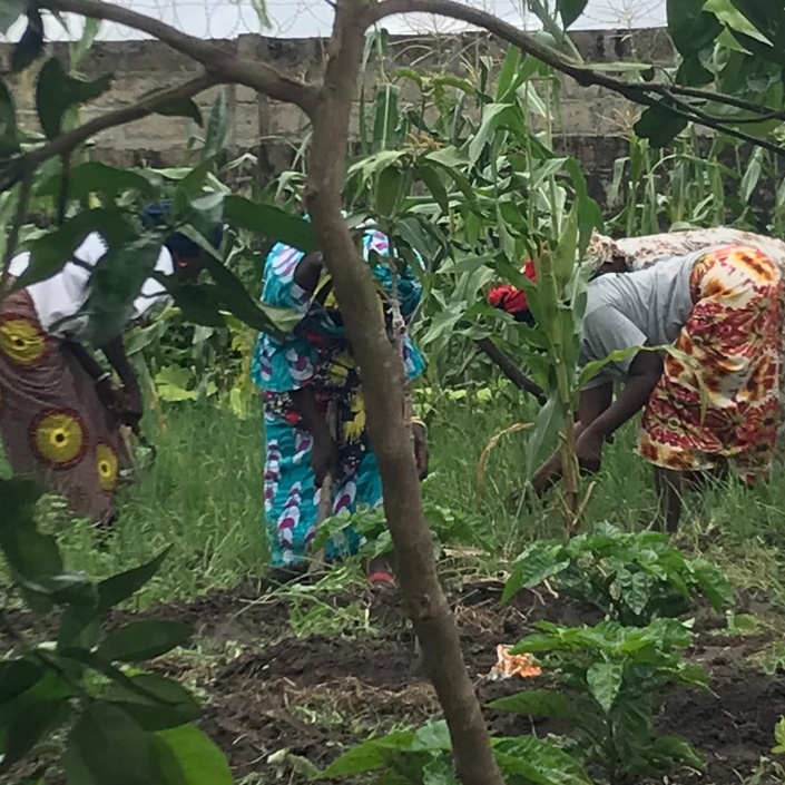 Selbstversorgung für Waisenkinder in Gambia sichern