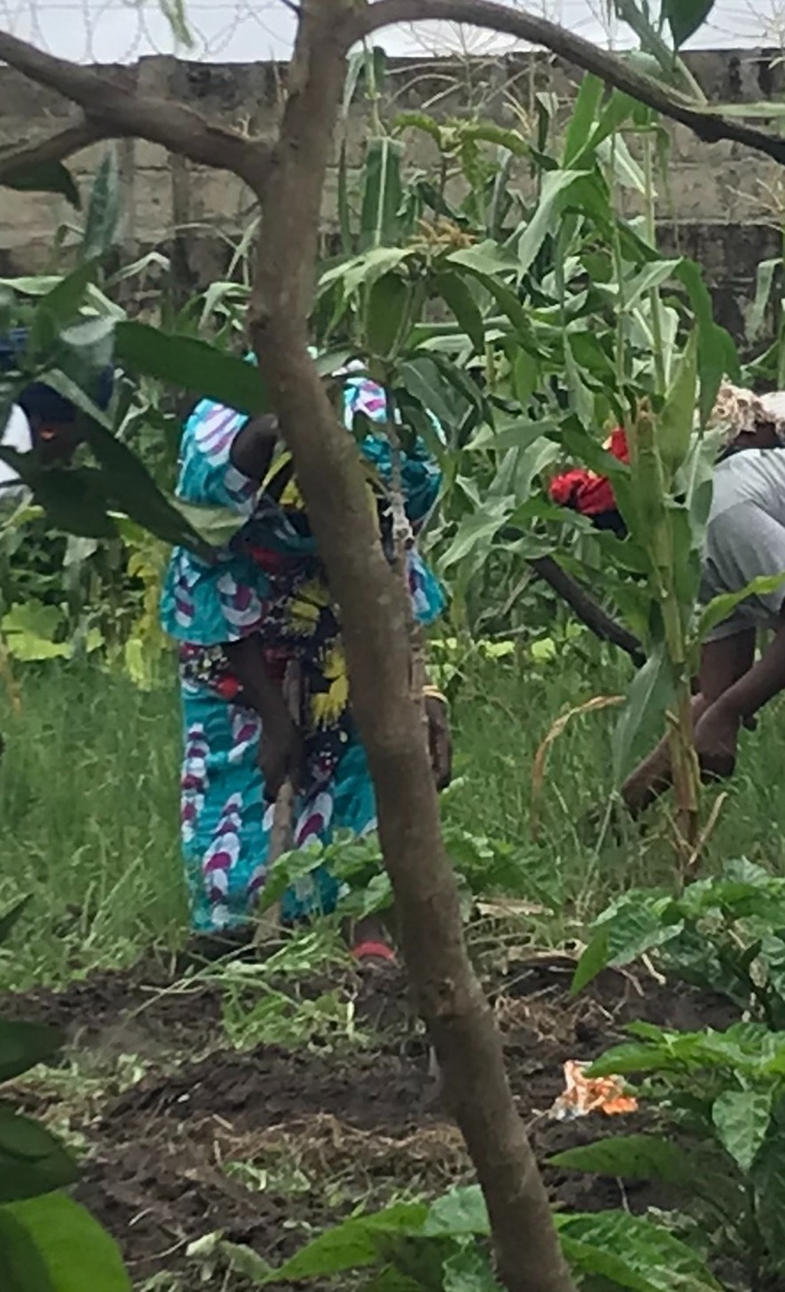 Selbstversorgung für Waisenkinder in Gambia sichern