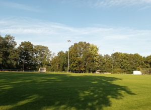 Jugendfußballtore für den Standort SV Steinwenden (SVS 1912)