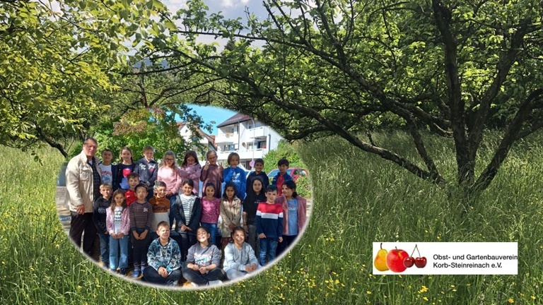 Streuobstwiesenprojekt Korb