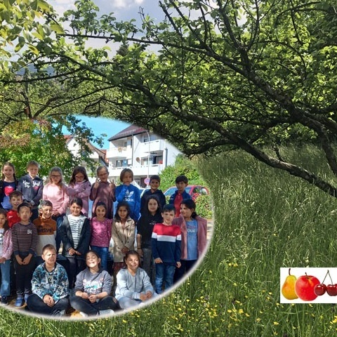Streuobstwiesenprojekt Korb