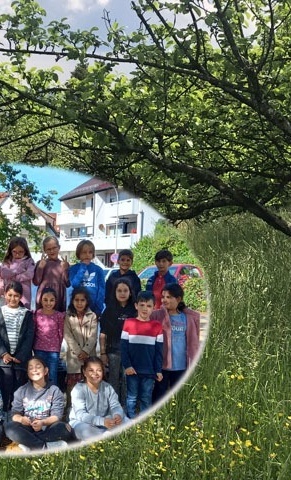 Streuobstwiesenprojekt Korb