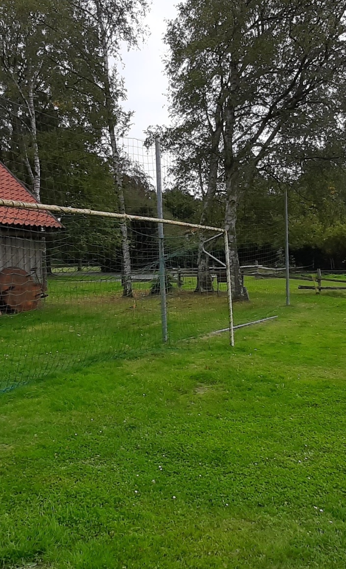 Zukunft für Kinder - Sanierung Fußballplatz