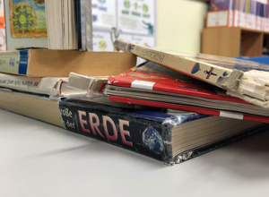 Einrichtung einer Schulbücherei