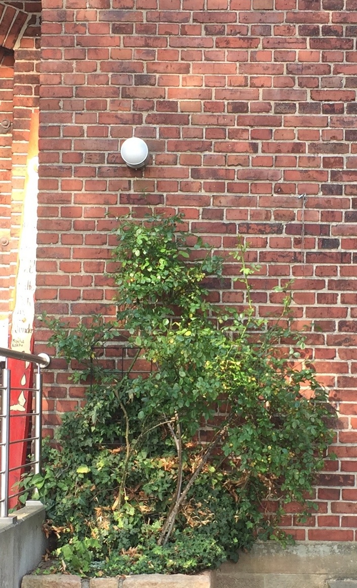 Eingangstüren Haus Jona restaurieren