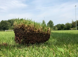 Grüne Achse Mittelbach