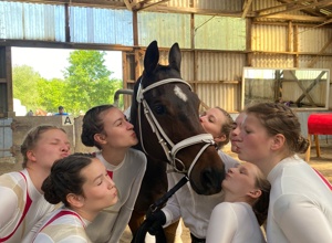 Rententraum & Pferdewunsch: unterstütze unseren Neuanfang!