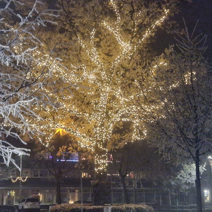 Weihnachtsleuchten