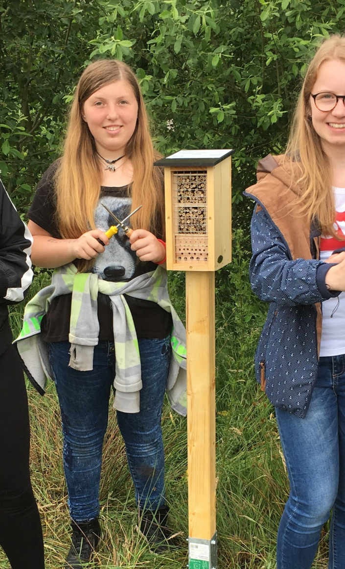 Kleinbus für Umweltbildungsprojekt "Wildbiene"