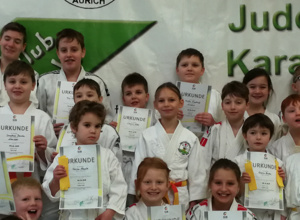 Judo-Sport-Matten