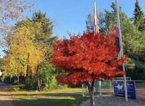 Equipment für die SVR