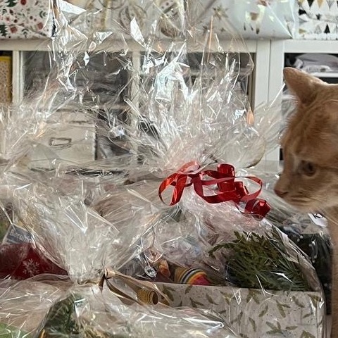 Tierliebe unterm Tannenbaum