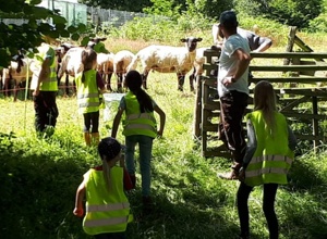 Barrierefreier Trailparcours auf dem Franziskushof der JG in Bigge