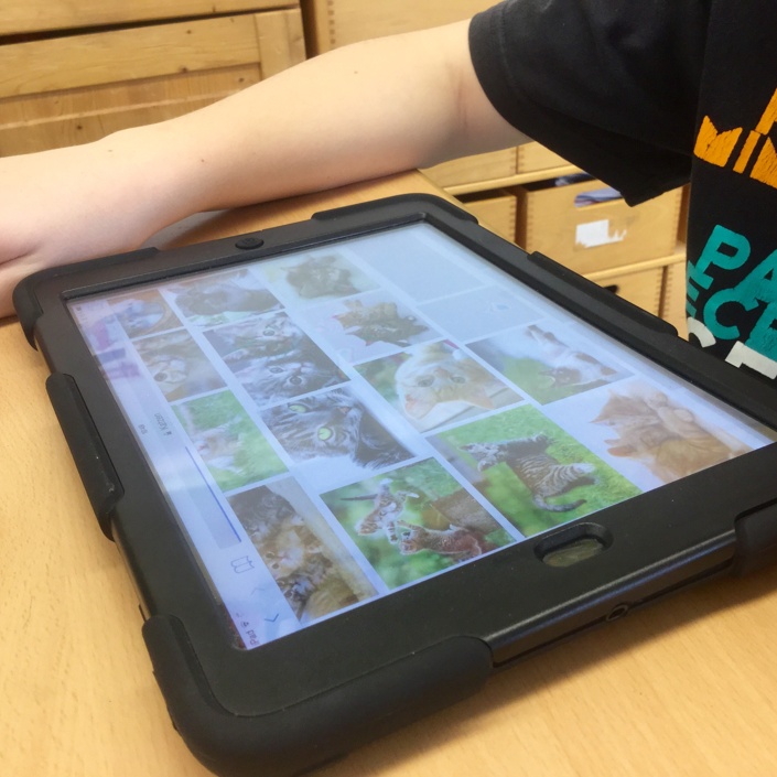 iPads für die Achertalschule