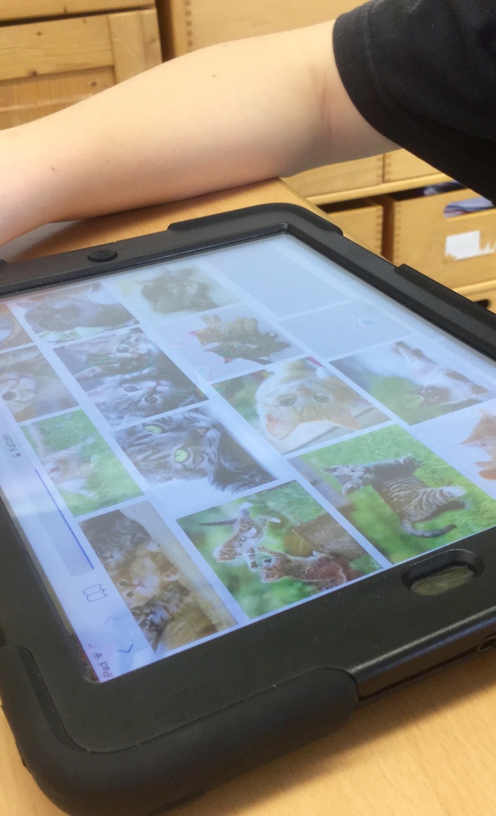 iPads für die Achertalschule