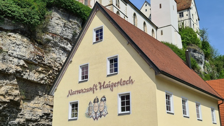 Zunfthaus NZH Dachsanierung