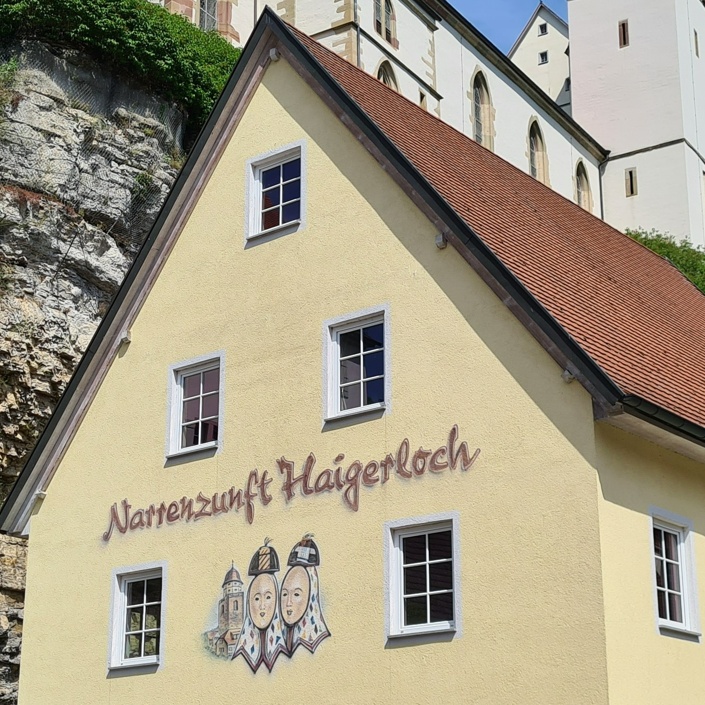 Zunfthaus NZH Dachsanierung