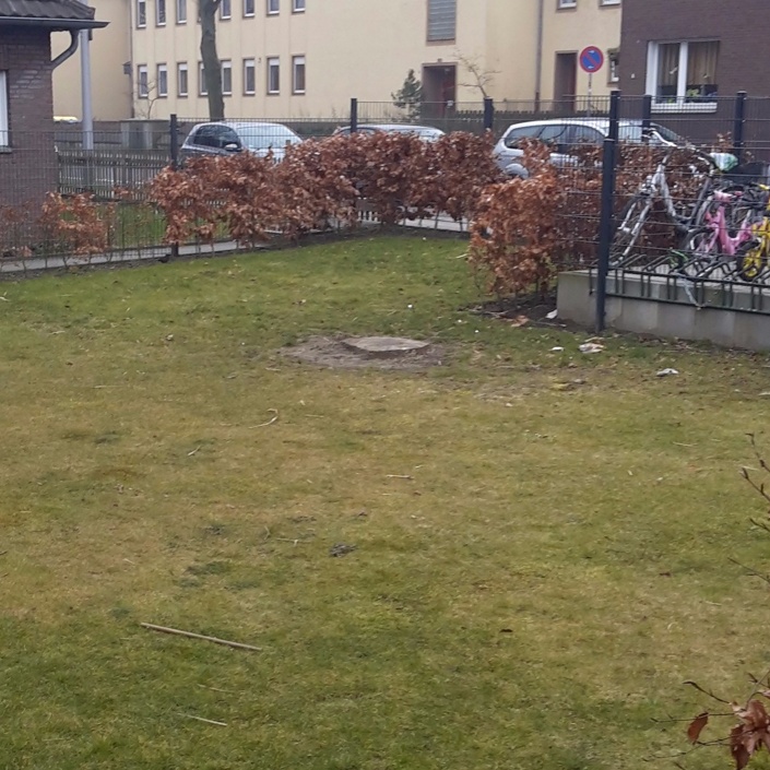 Mit allen Sinnen erleben!
