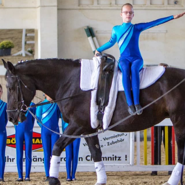 1 PS für die Galopp-Akrobaten aus Burgstädt