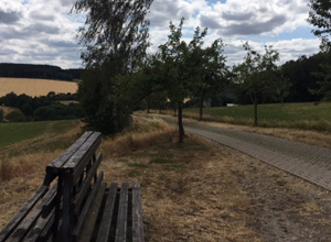 Streuobstwiese Lößnitz