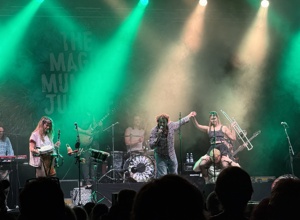 Das 25. Galgenbergfestival! Jetzt brauchen wir Eure Unterstützung!!