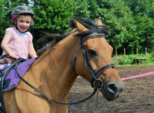 Ein Therapiepferd für die Reittherapie