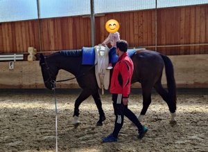 Wir suchen unseren neuen vierbeinigen Teampartner