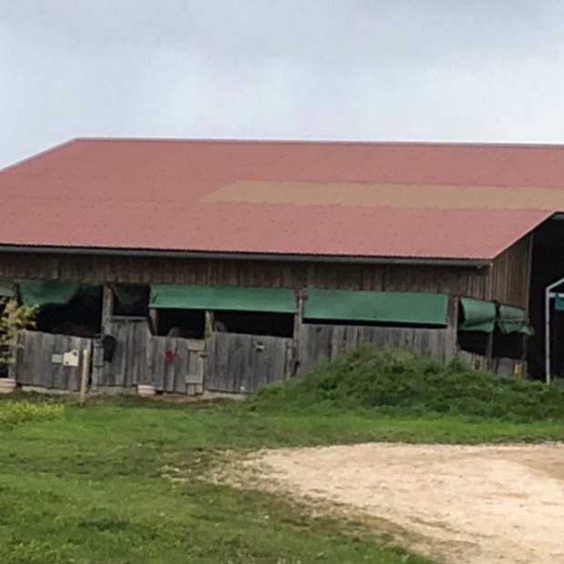 Ausbau Ponystall PSV Roggenburg